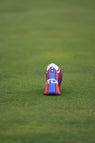 Crystal Palace - Regular Retro Putter Cover